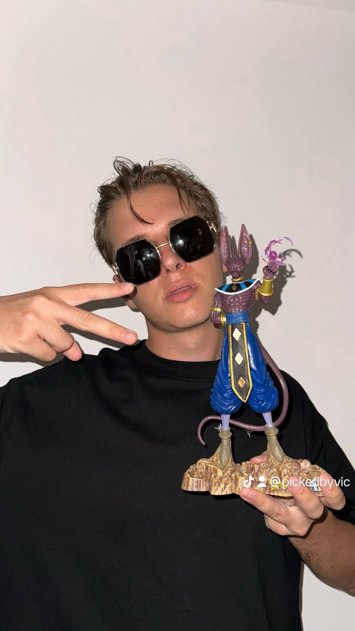 11.8-Inch Beerus God of Destruction  | DragonBallSuper | Handmade PVC Statue | Collectors Display